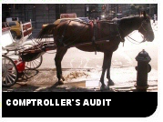Comptrollers Audit