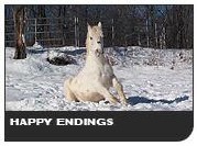 Happy Endings