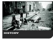 History of carriage horses