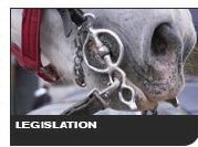 Legislation