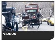 horse videos