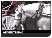 Ads