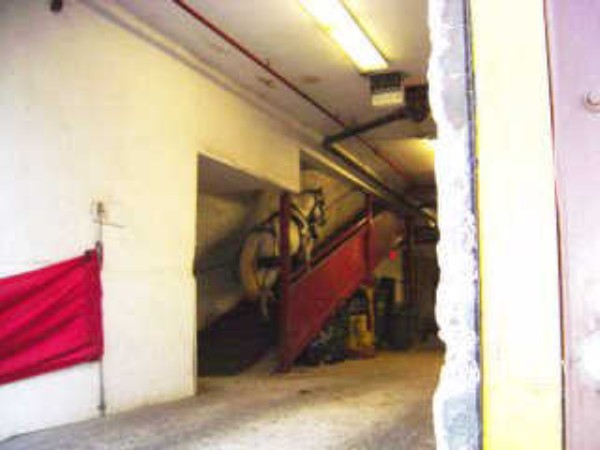 horse%20on%20ramp%20lightened.JPG